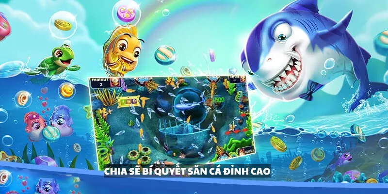 Chia sẽ bí quyết săn cá đỉnh cao